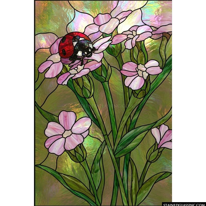 Ladybug on Pale Pink Blossoms