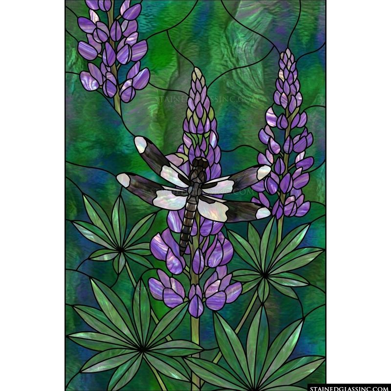 Dragonfly Resting on Purple Lupines