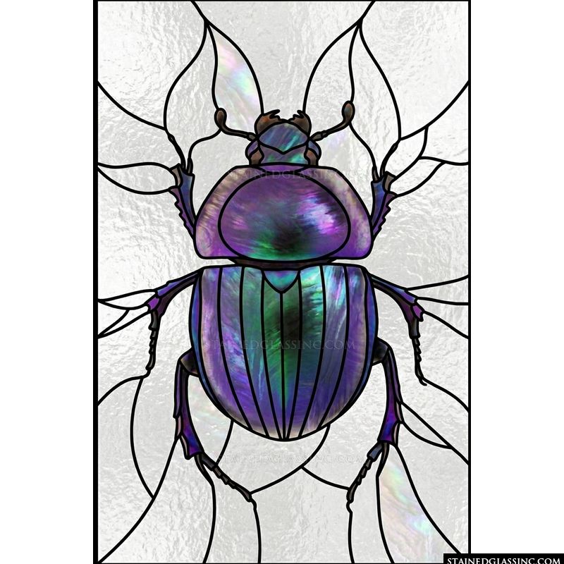 Iridescent Scarab Beetle