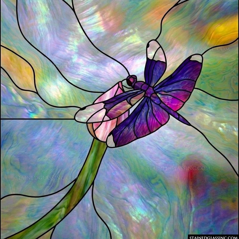 Dragonfly on Lotus Blossom