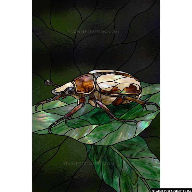 Iridescent Beetle on Lush Leaves