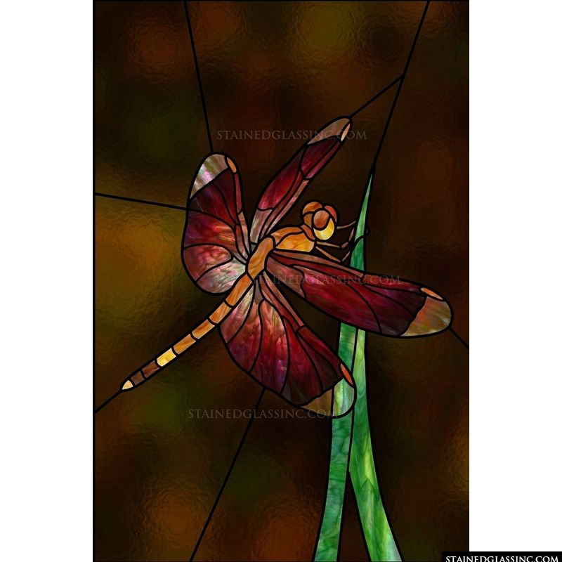 Autumn Dragonfly on Reed