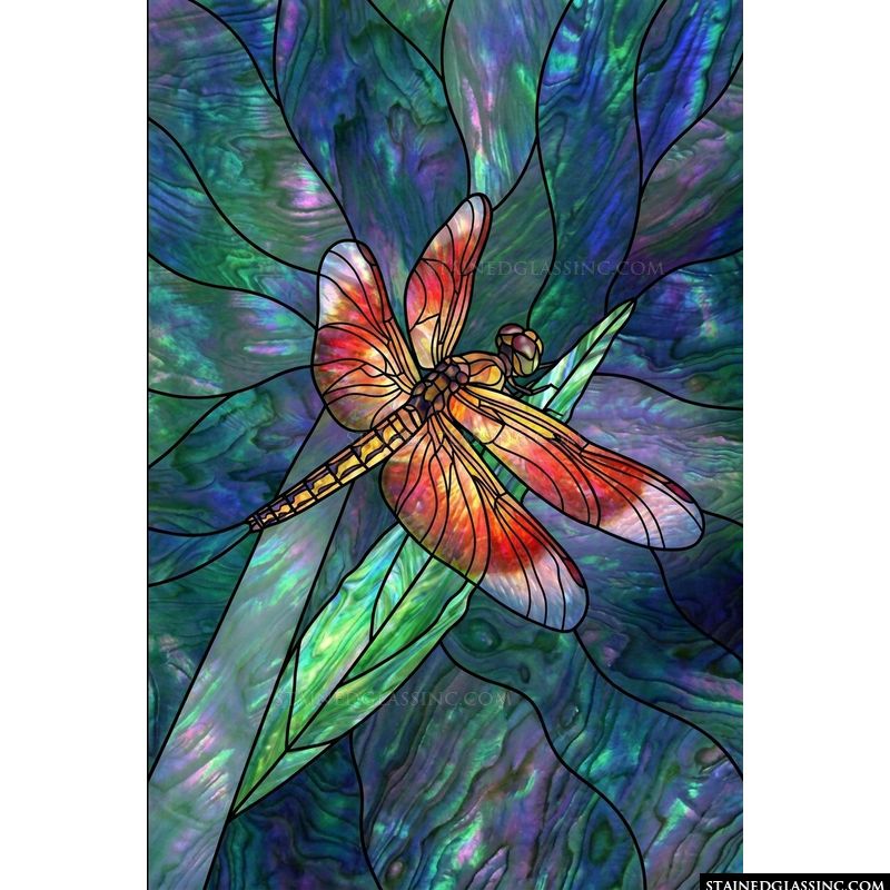 Iridescent Dragonfly on Leaf