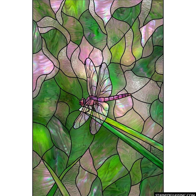 Dragonfly in the Reeds
