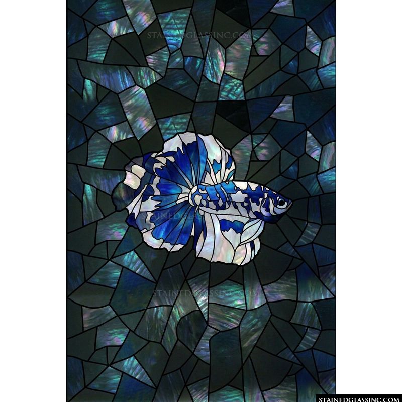 Blue and White Betta Fish in Iridescent Depths