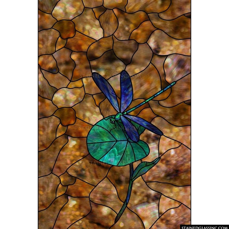 Dragonfly on Lily Pad