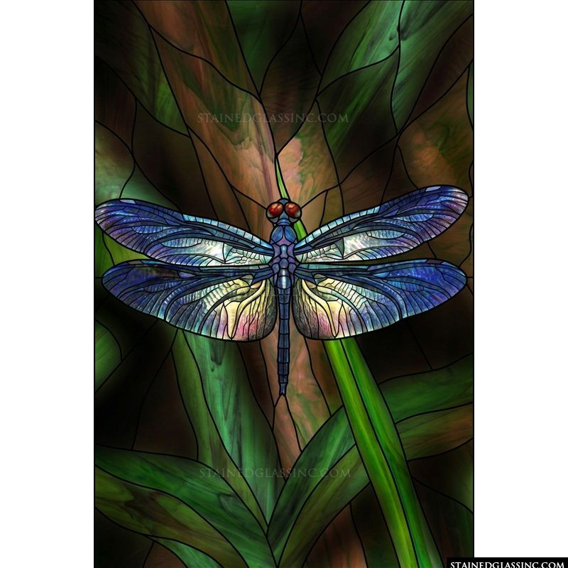 Iridescent Dragonfly in Emerald Reeds