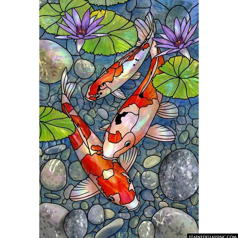 Koi Pond with Water Lilies