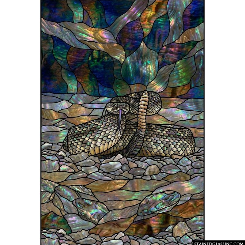 Rattlesnake in the Desert