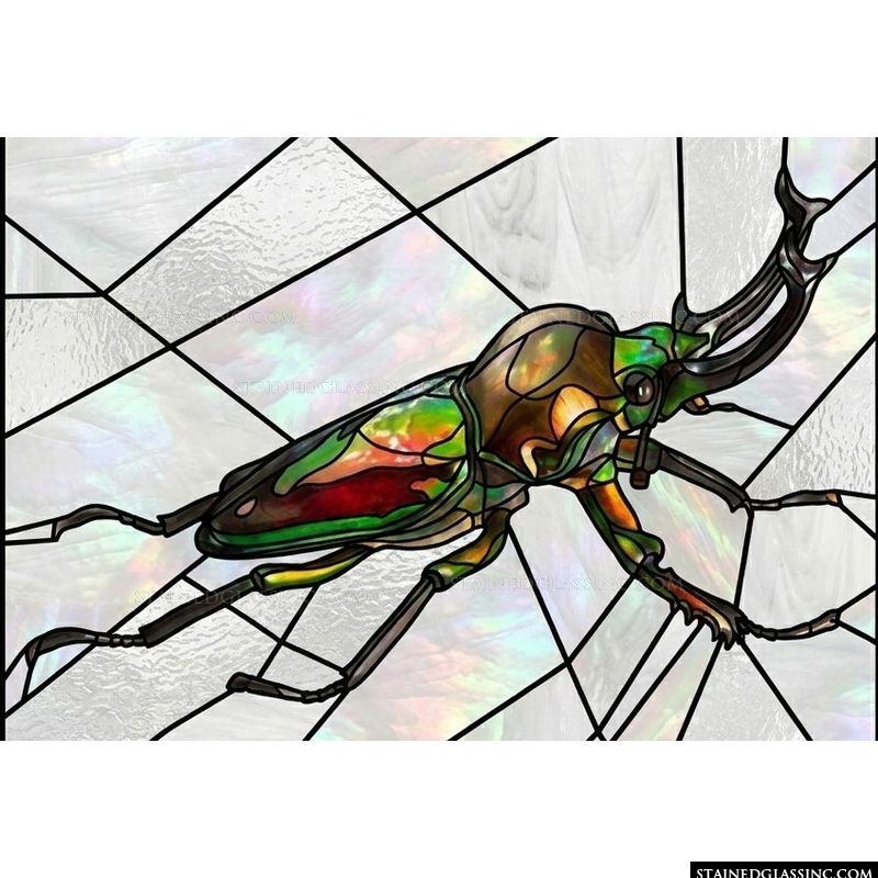 Iridescent Stag Beetle