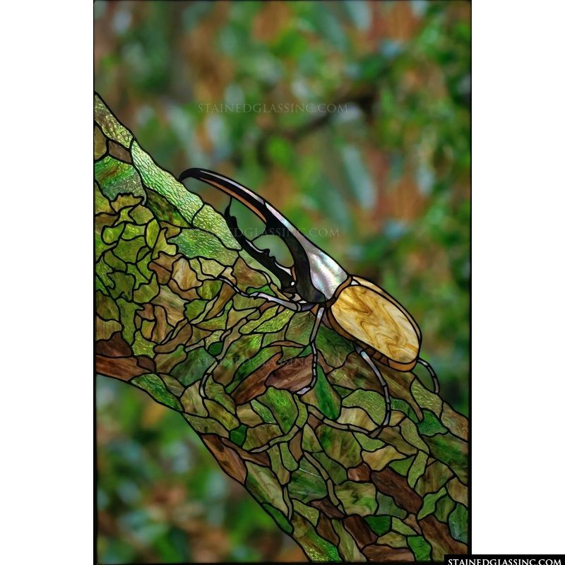 Hercules Beetle on Mossy Branch