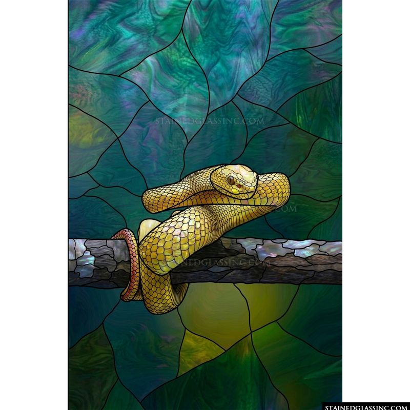 Golden Viper Resting on a Branch