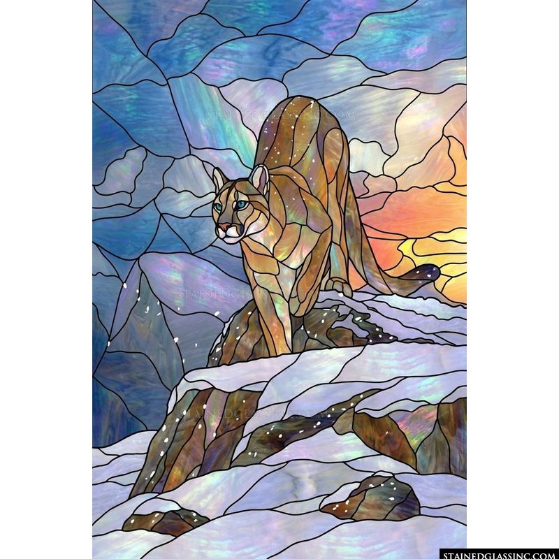 Mountain Cougar in Winter Sunset