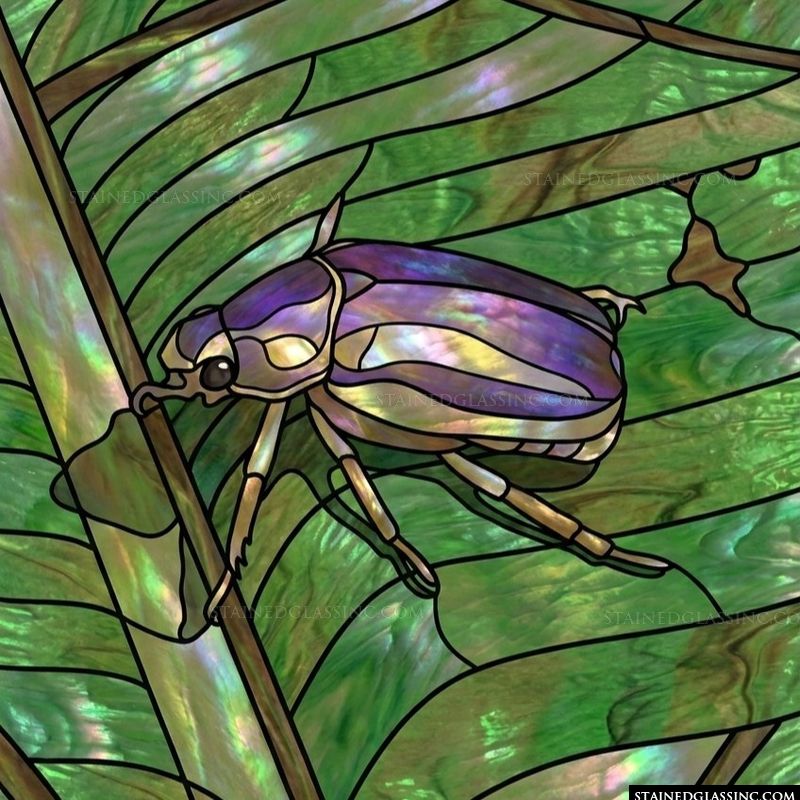Iridescent Beetle on Fern Leaf
