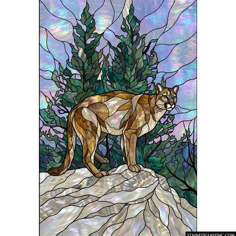 Mountain Lion on a Rocky Ridge
