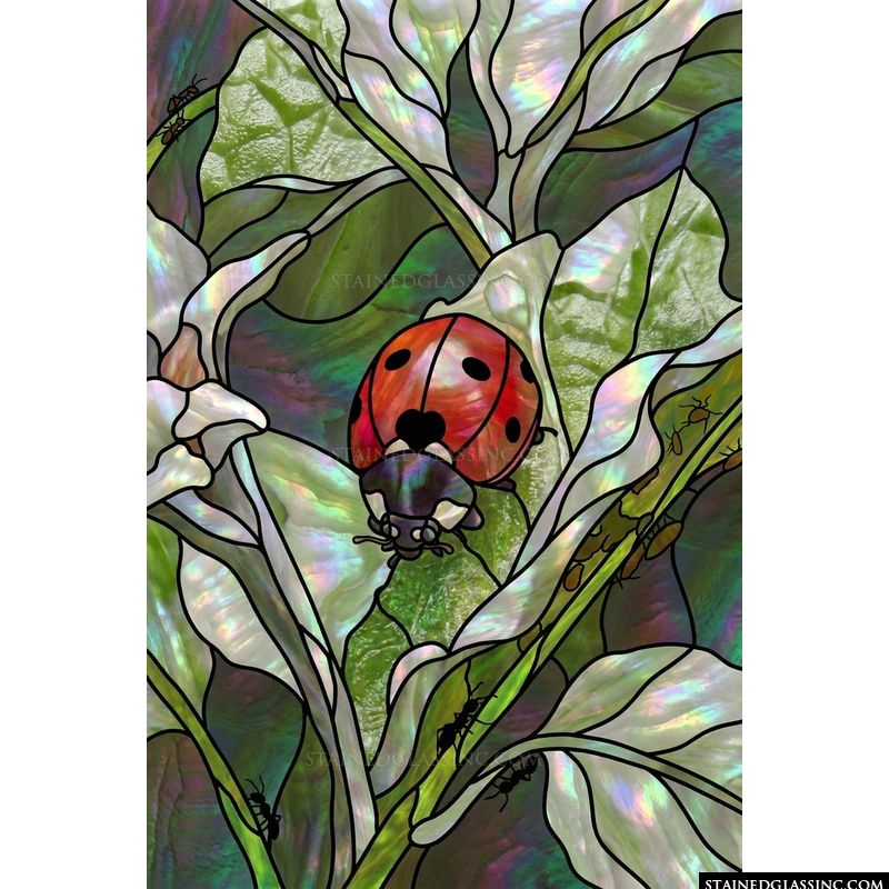 Ladybug in the Garden