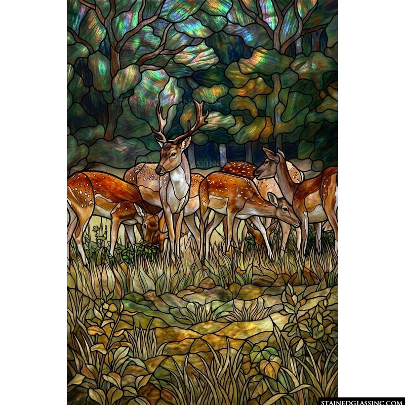 Stag and Deer in Autumn Forest