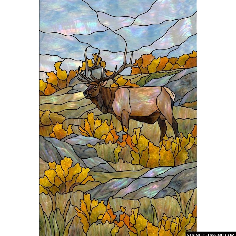 Majestic Elk in Autumn Meadow