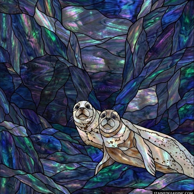 Two Harbor Seals in Deep Blue Waters