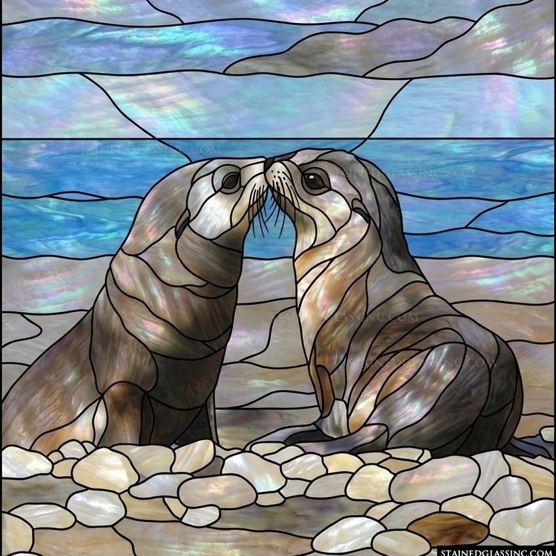 Two Seals at the Shore