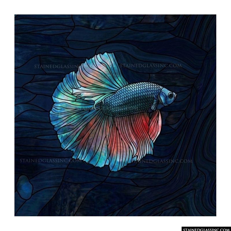 Betta Fish in Deep Blue