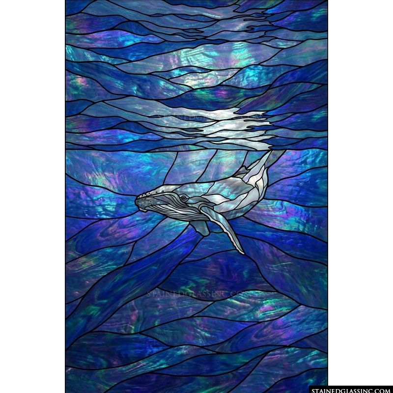 Humpback Whale in Midnight Waters
