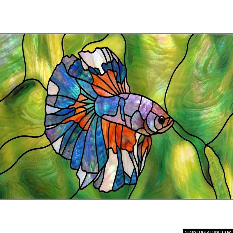 Betta Fish in Luminous Green
