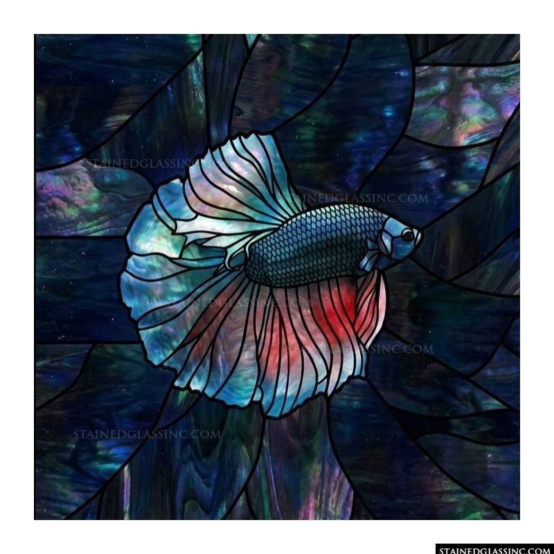 Betta Fish in Iridescent Blue and Crimson