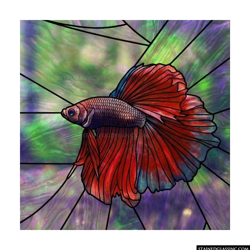 Betta Fish in Crimson and Amethyst