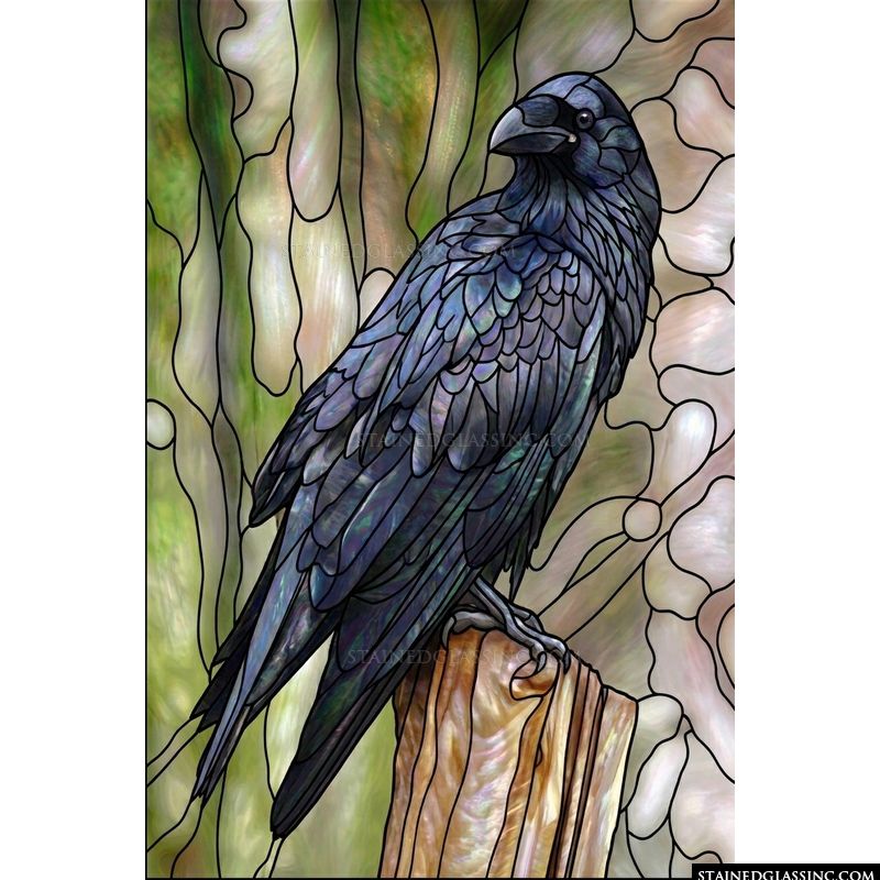 Raven Perched on Post