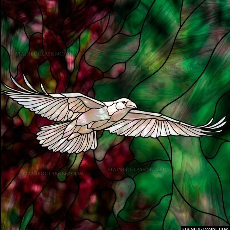 White Raven in Flight
