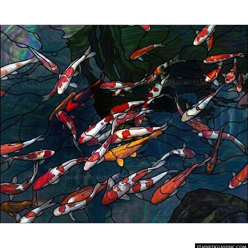 Koi Pond in Motion