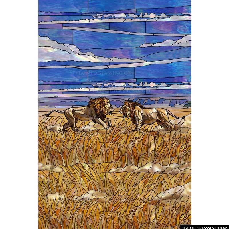 Lions in the Golden Savannah