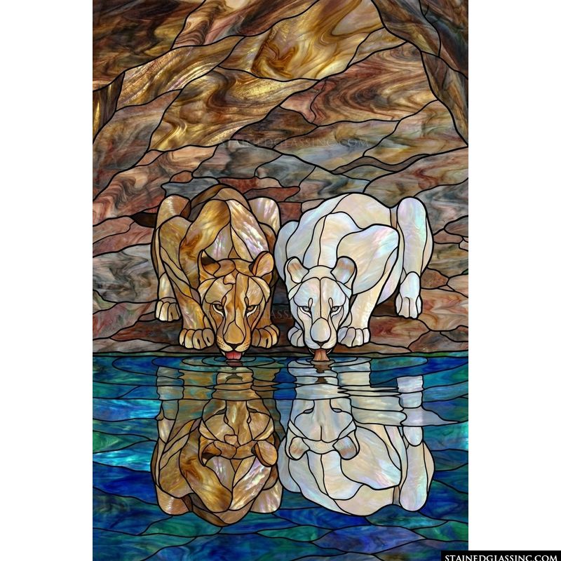 Lionesses at the Water's Edge