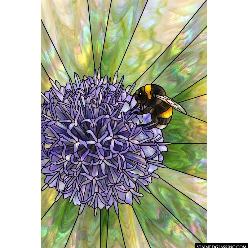 Bumblebee on Purple Allium