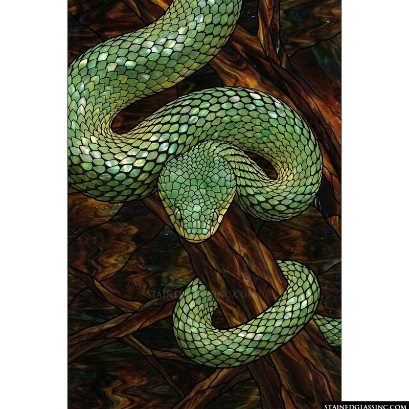 Green Tree Viper in the Canopy
