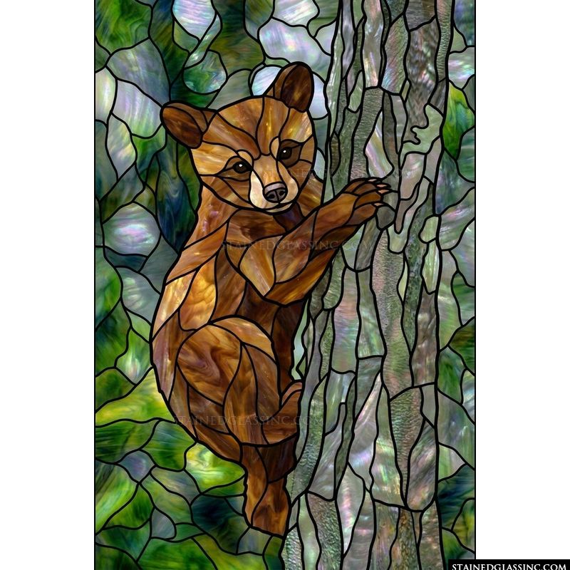 Little Bear Climbing a Tree