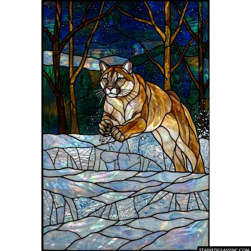 Mountain Lion in Winter Woods