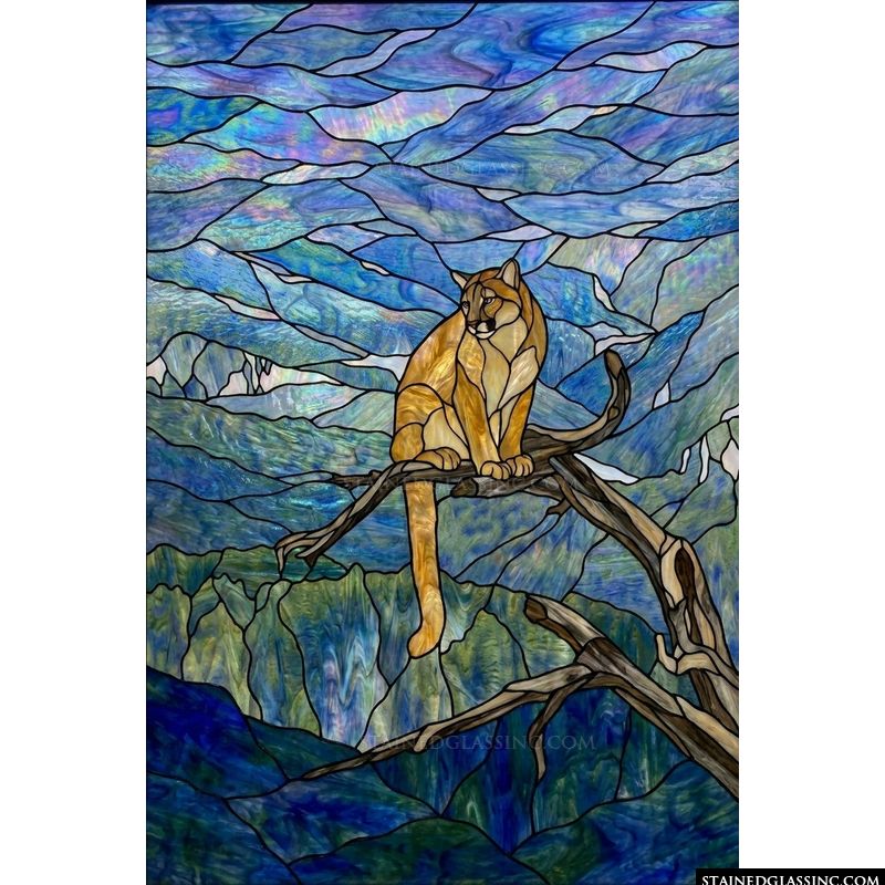 Mountain Lion on Branch