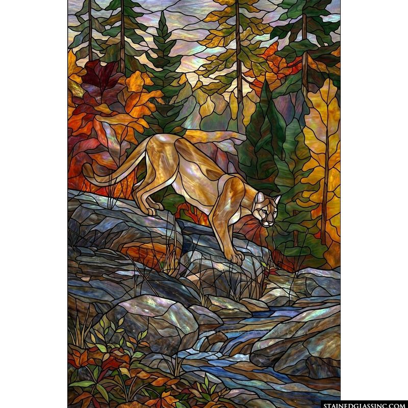 Mountain Lion in Autumn Forest
