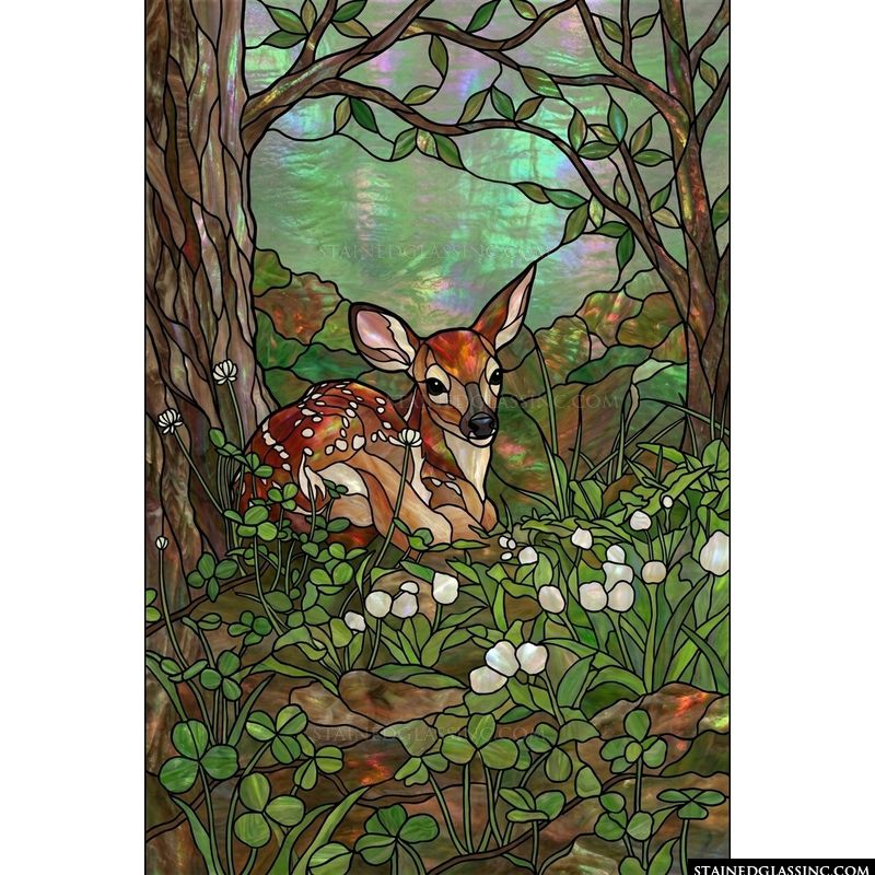 Fawn Resting in a Forest Glade