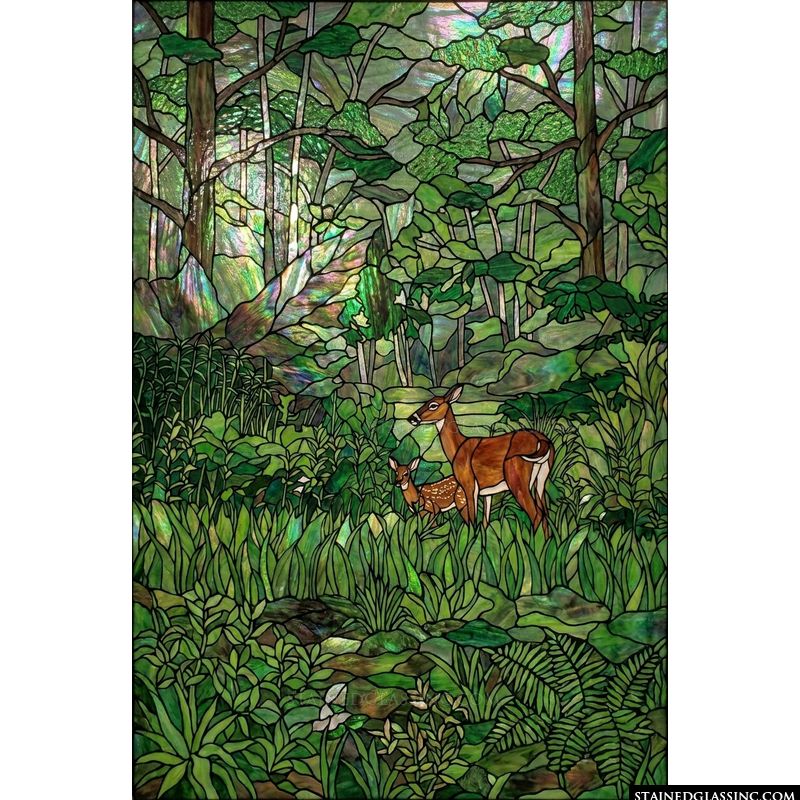 Doe and Fawn in Forest Clearing