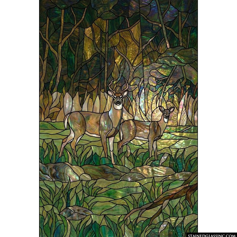 Stag and Doe in the Forest