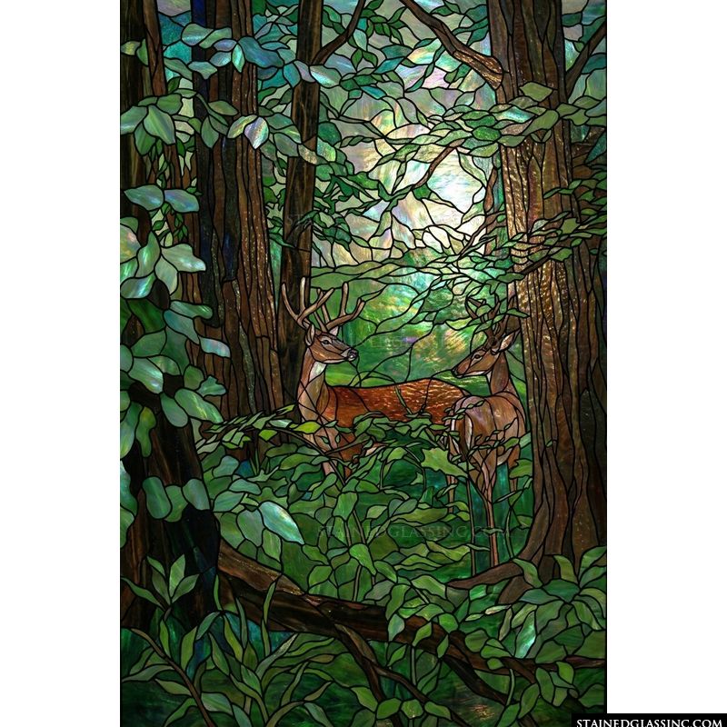 Two Deer in a Sunlit Forest