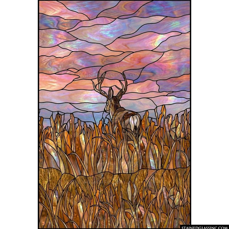 Buck in Golden Meadow at Twilight