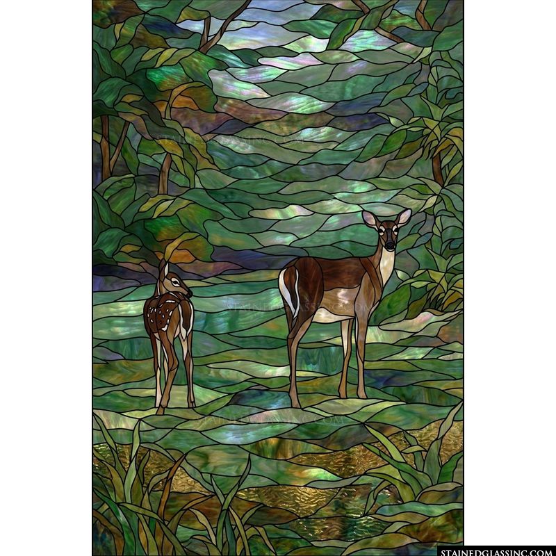 Doe and Fawn in Forest Glade