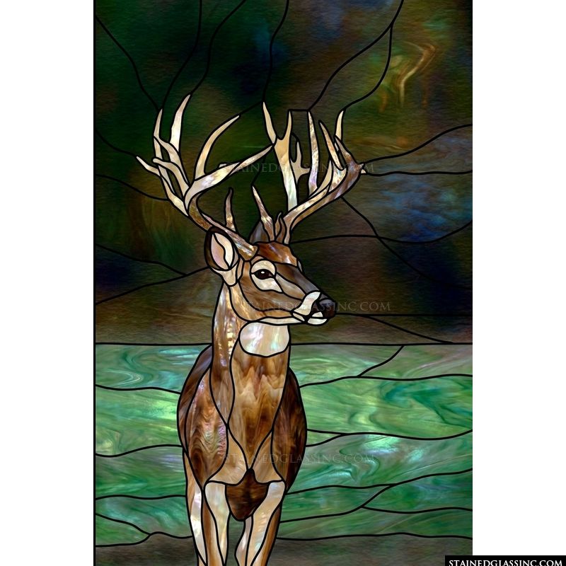Majestic Buck in the Forest
