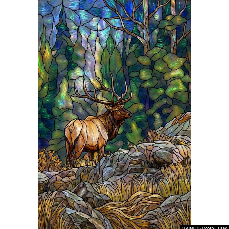 Elk in a Mountain Forest