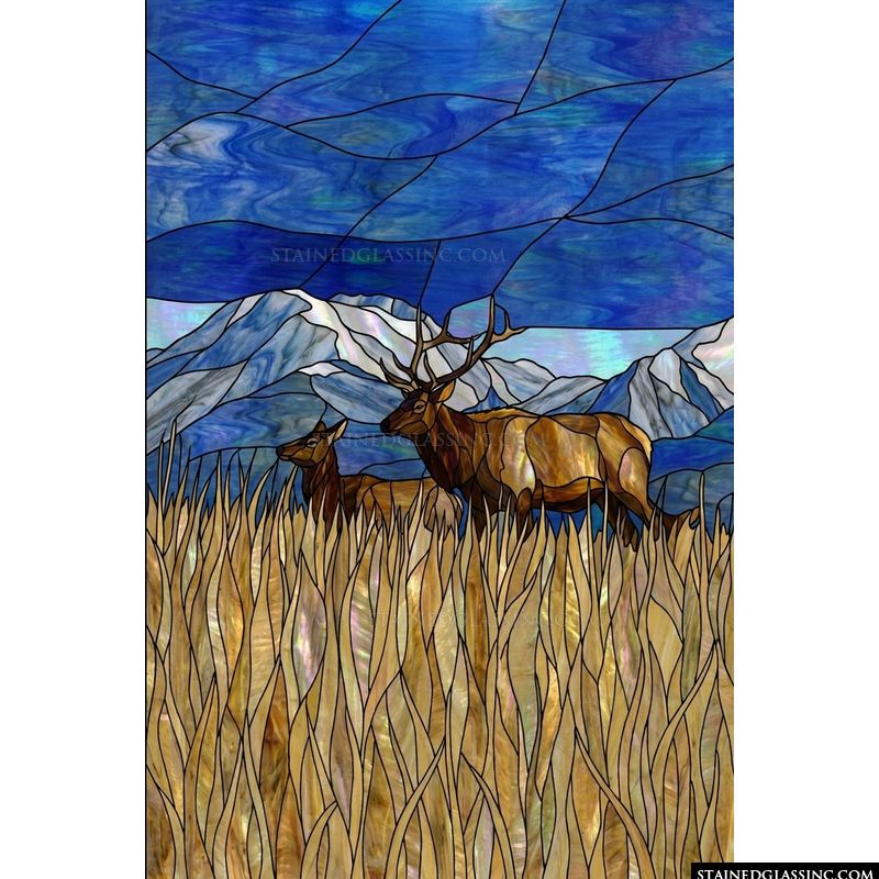 Elk Pair in Mountain Meadow
