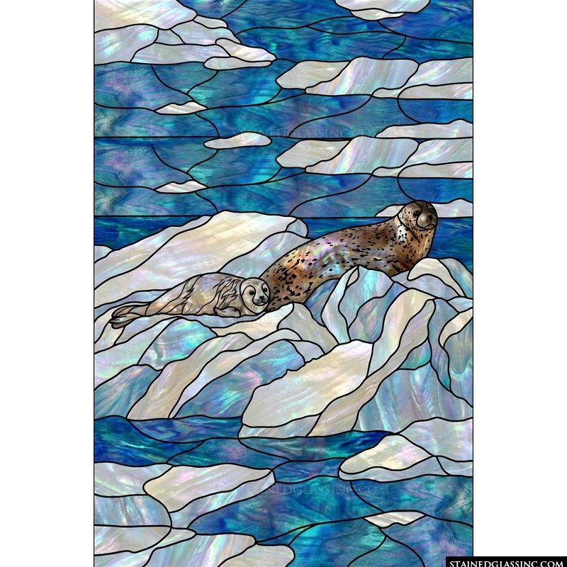 Arctic Seals on Ice Floes